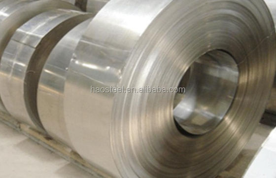 SUS 301 Strisce in acciaio inossidabile