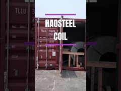 Affatichi la striscia della bobina di acciaio inossidabile della resistenza SUS631 304